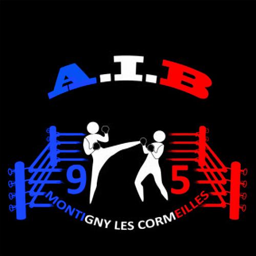 Logo Association Ignymontaine de Boxe